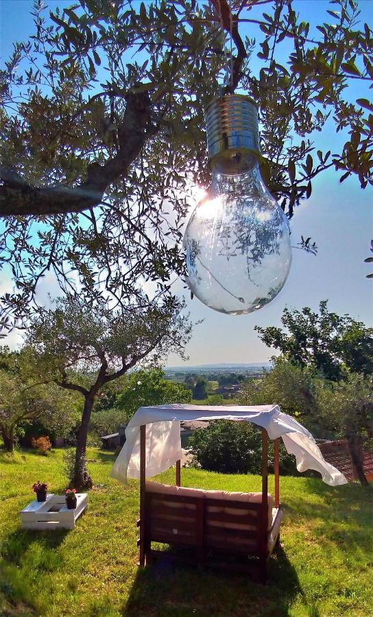לינה וארוחת בוקר קורטונה La Casa Tra Gli Ulivi מראה חיצוני תמונה