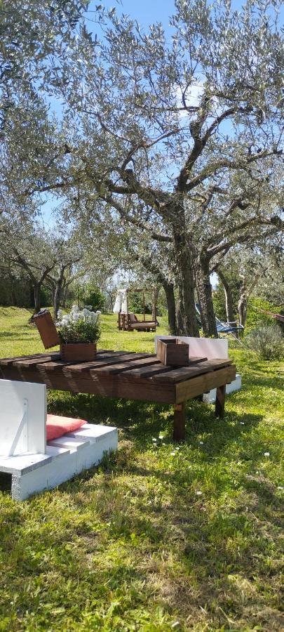 לינה וארוחת בוקר קורטונה La Casa Tra Gli Ulivi מראה חיצוני תמונה