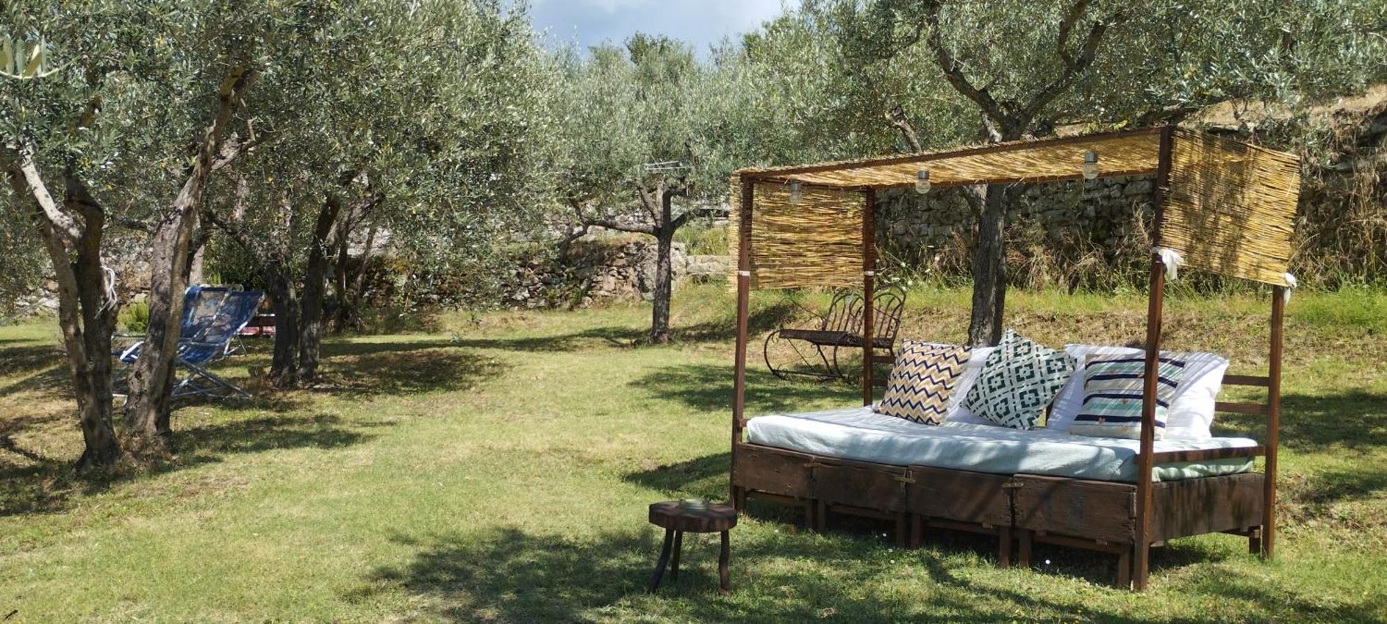 לינה וארוחת בוקר קורטונה La Casa Tra Gli Ulivi מראה חיצוני תמונה