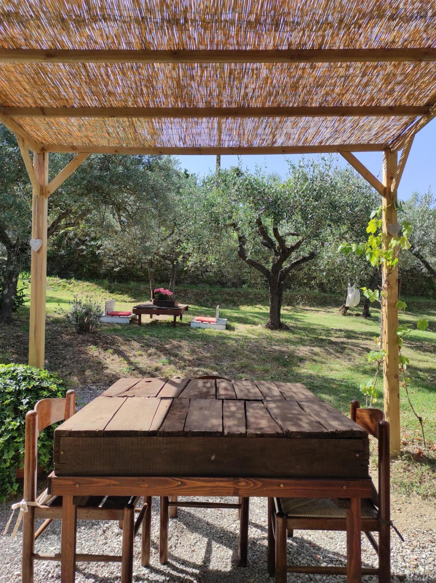 לינה וארוחת בוקר קורטונה La Casa Tra Gli Ulivi מראה חיצוני תמונה